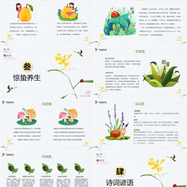 清新手绘风传统二十四节气惊蛰节气介绍PPT模板