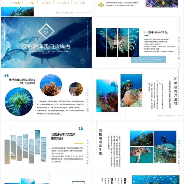 蓝色简约风世界海洋日介绍PPT模板 蓝色简约风世界海洋日介绍PPT模板