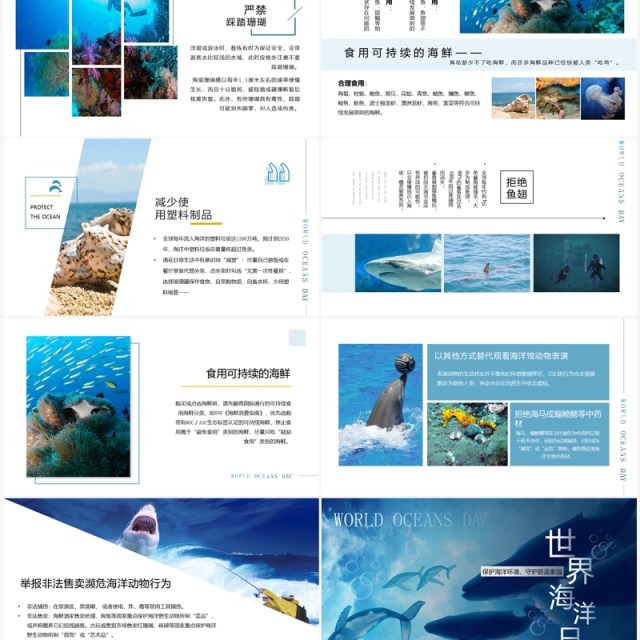 蓝色简约风世界海洋日介绍PPT模板 蓝色简约风世界海洋日介绍PPT模板
