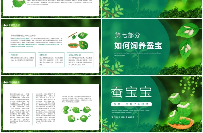 如何饲养蚕宝宝知识介绍动态PPT模板
