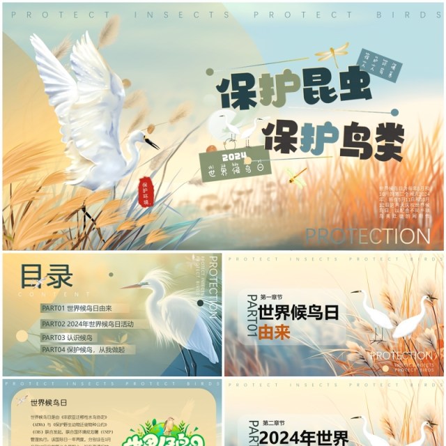 蓝色插画风世界候鸟日介绍PPT模板 蓝色插画风世界候鸟日介绍PPT模板