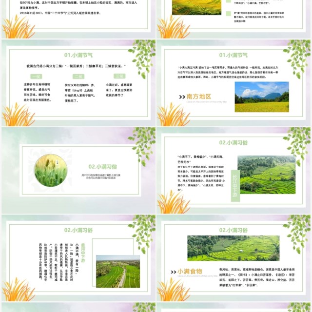 简约卡通二十四节气小满节气PPT模板 简约卡通二十四节气小满节气PPT模板