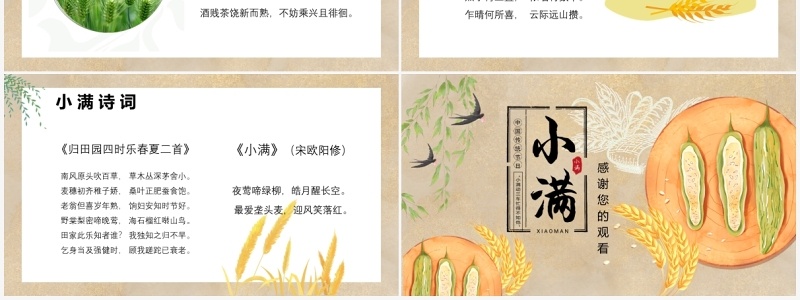 中国风卡通手绘传统二十四节气小满PPT模板