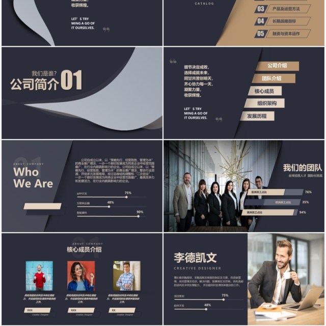 高端产品融资介绍商业计划书PPT模板 高端产品融资介绍商业计划书PPT模板