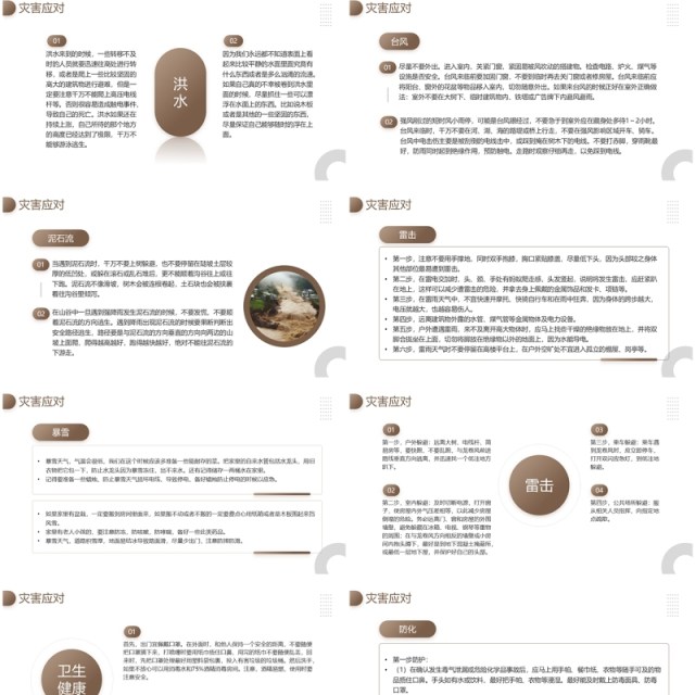 棕色简约风国际减灾日主题介绍PPT模板