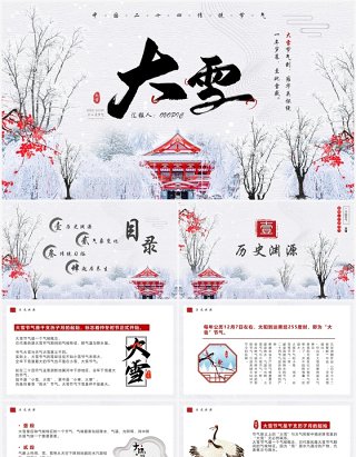 淡雅中国风传统二十四节气之大雪PPT模板