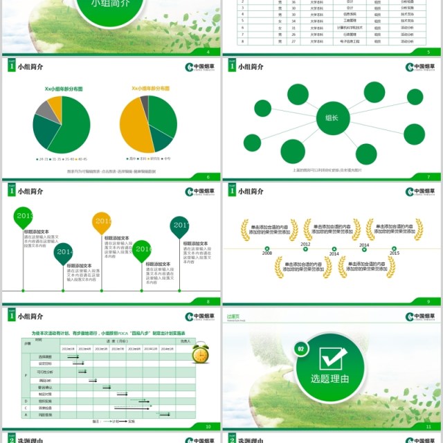 绿色时尚获奖QC小组汇报模板PPT模板