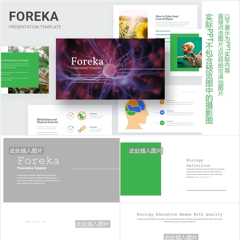 生物教育医疗医院人体模型PPT模板Foreka Biology Education Powerpoint