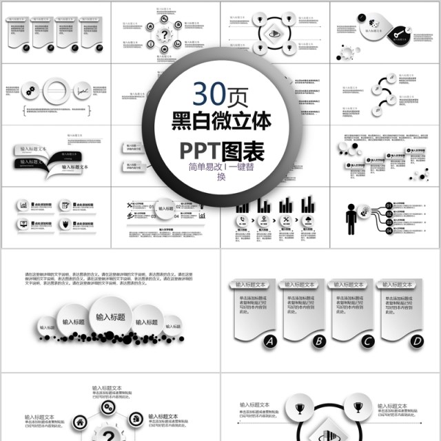 30页黑白微粒体ppt图表