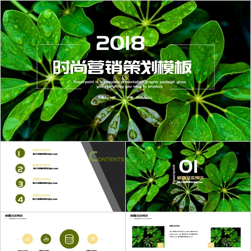 时尚营销策划PPT模板