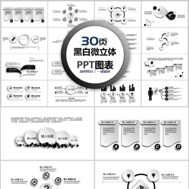 30页黑白微粒体ppt图表