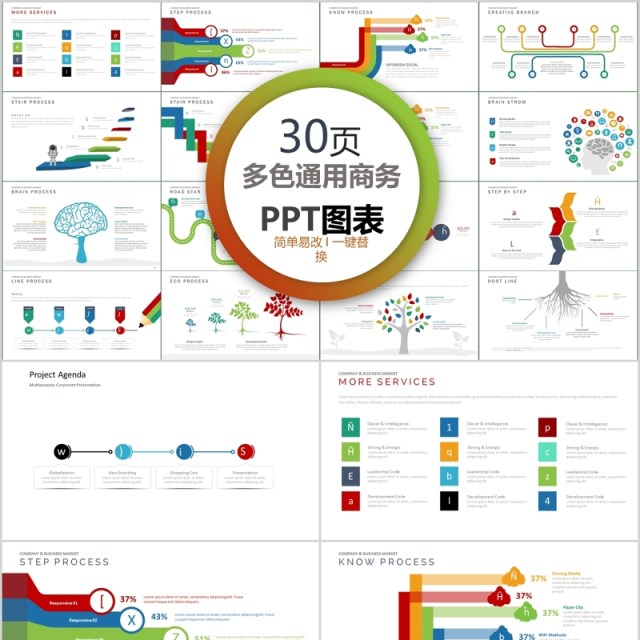 30页多色通用商务ppt图表