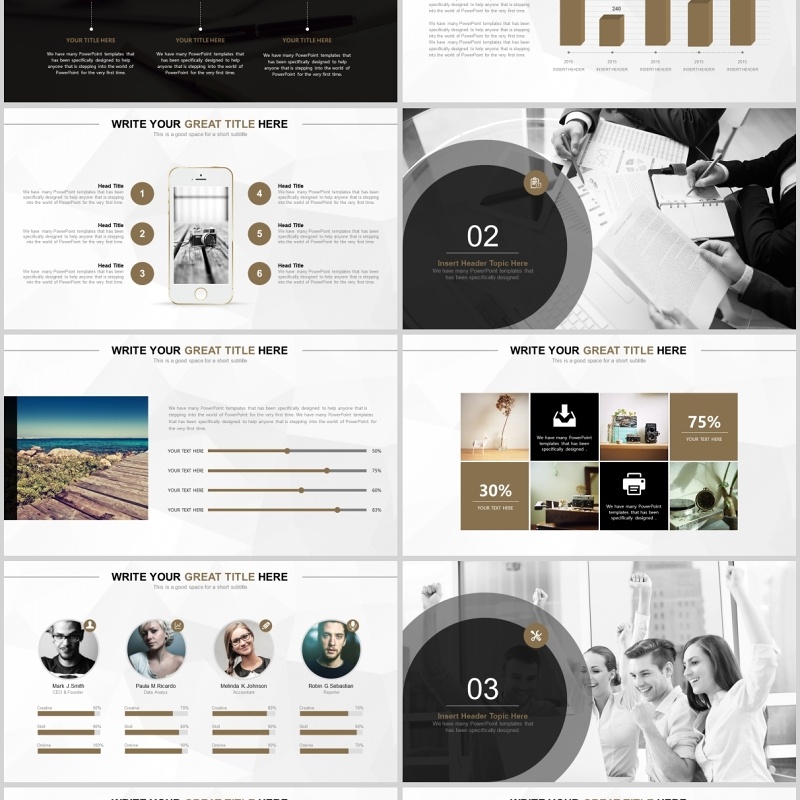 商务工作总结计划ppt