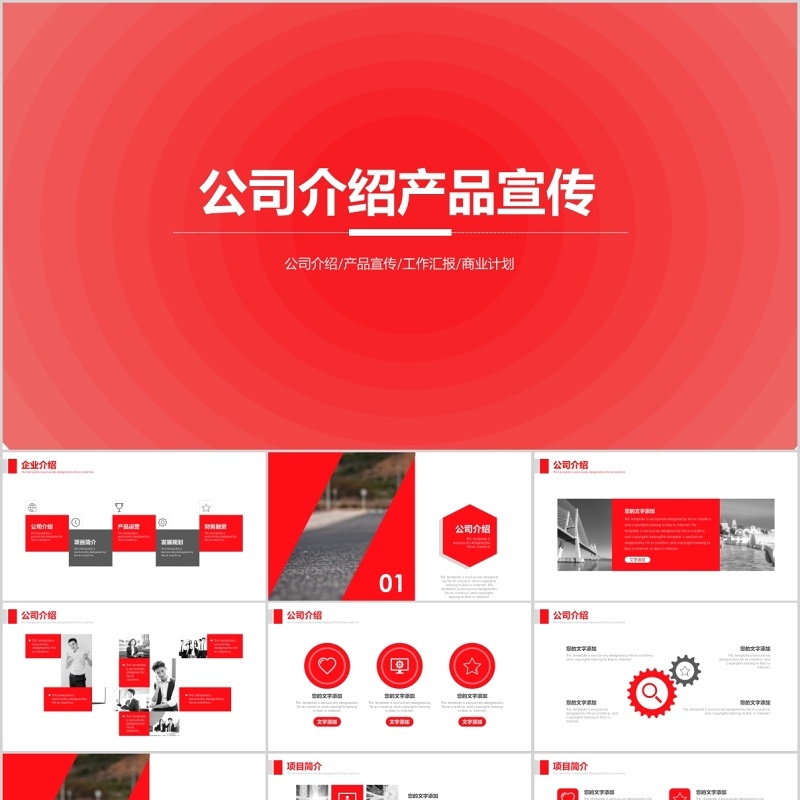 公司介绍产品宣传ppt