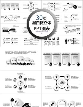 30页黑白微粒体ppt图表