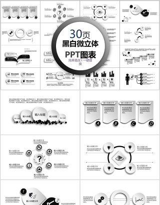 30页黑白微粒体ppt图表