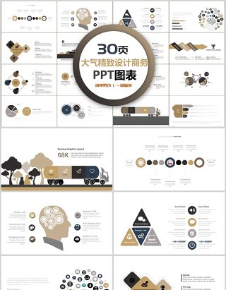 30页大气精致设计商务ppt图表