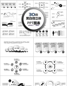 30页黑白微粒体ppt图表