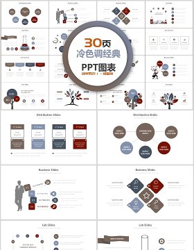 30页冷色调经典ppt图表