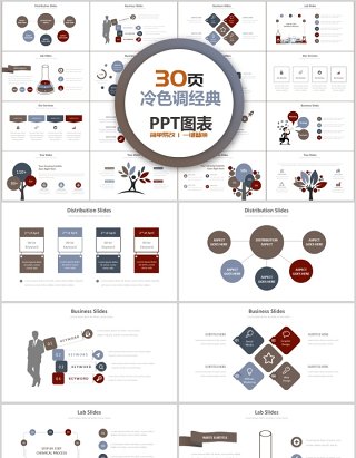 30页冷色调经典ppt图表