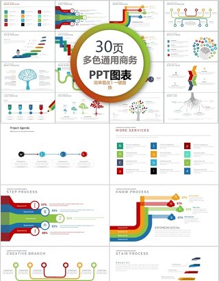 30页多色通用商务ppt图表