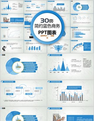 30页简约蓝色商务ppt图表