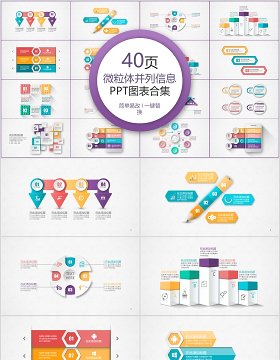 40页微粒体并列信息ppt图表合集