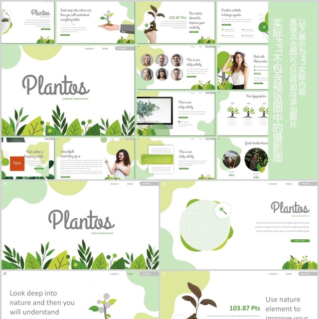 教育信息工作通用PPT模板版式设计Plantos Powerpoint Template 教育信息工作通用PPT模板版式设计Plantos Powerpoint Template