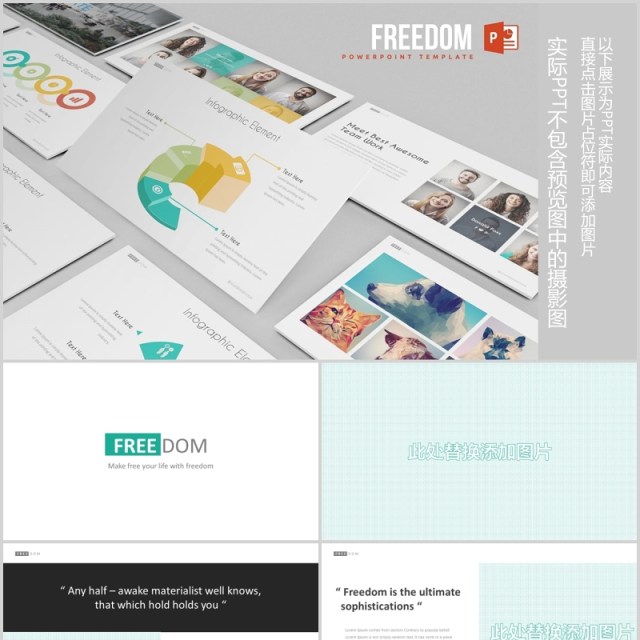 商务图文排版饼图分析PPT图表素材Freedom Powerpoint Template