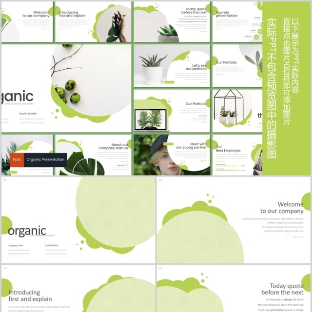 绿色商务通用PPT模板创意版式设计Organic Powerpoint Template