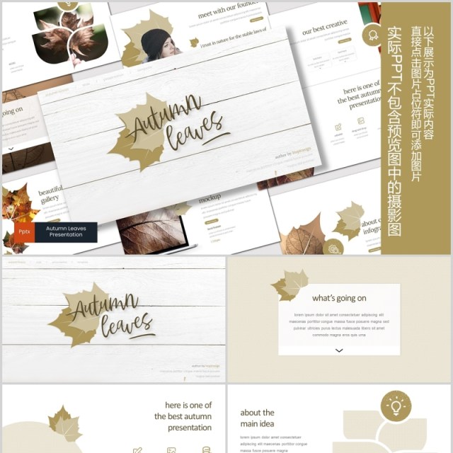 秋叶图形公司介绍PPT模板版式设计Autumn leaves Powerpoint Template 秋叶图形公司介绍PPT模板版式设计Autumn leaves Powerpoint Template