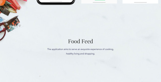 食品美食用户界面模板Food Feed UI Template