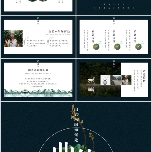 高端典雅企业策划案计划书PPT模板 高端典雅企业策划案计划书PPT模板