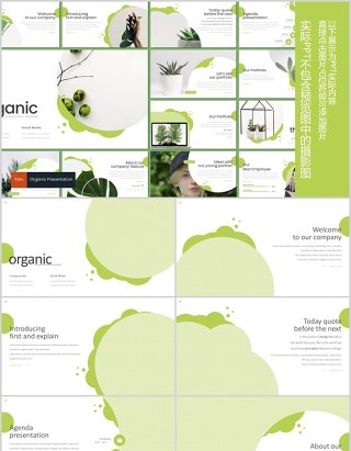 绿色商务通用PPT模板创意版式设计Organic Powerpoint Template