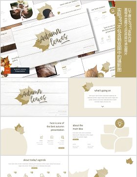 秋叶图形公司介绍PPT模板版式设计Autumn leaves Powerpoint Template