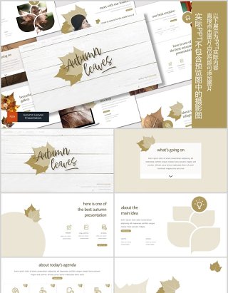 秋叶图形公司介绍PPT模板版式设计Autumn leaves Powerpoint Template
