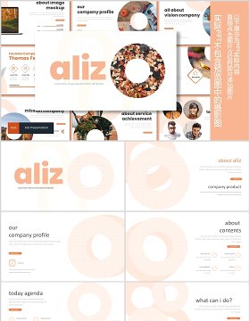 工作计划总结汇报PPT模板版式设计Aliz Powerpoint Template