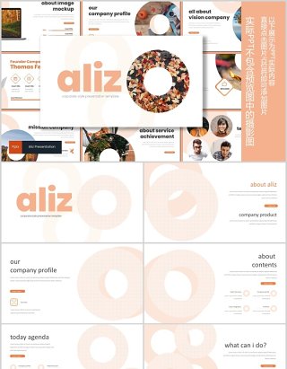 工作计划总结汇报PPT模板版式设计Aliz Powerpoint Template