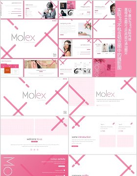 时尚商业项目计划书PPT模板版式设计Molex Powerpoint Template