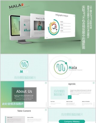 商务图文排版可视化图表PPT素材模板Mala - Powerpoint Template