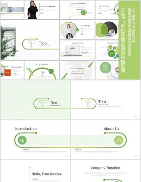 竞聘简历求职公司项目介绍PPT模板版式设计Tico Powerpoint Template