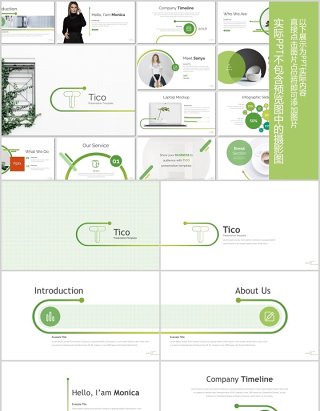 竞聘简历求职公司项目介绍PPT模板版式设计Tico Powerpoint Template