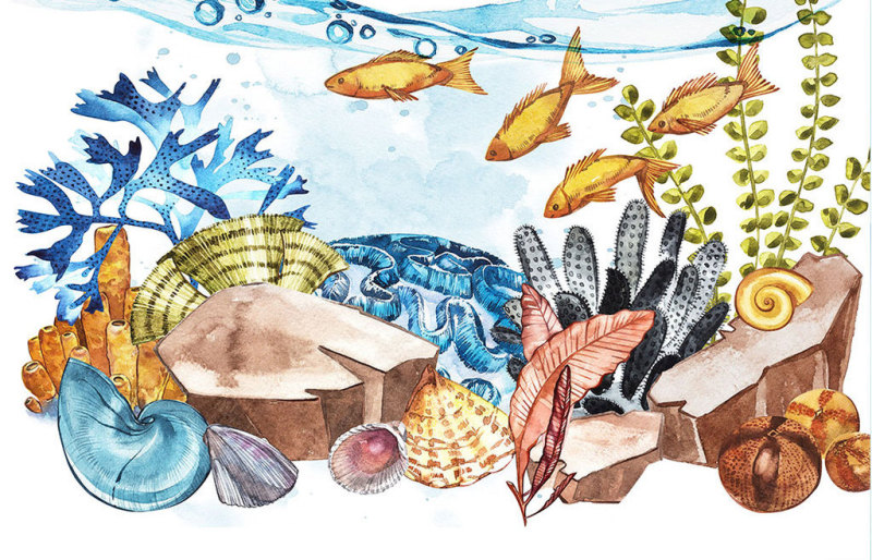 水彩风格 海洋世界 海底 创意 海报 风格 世界