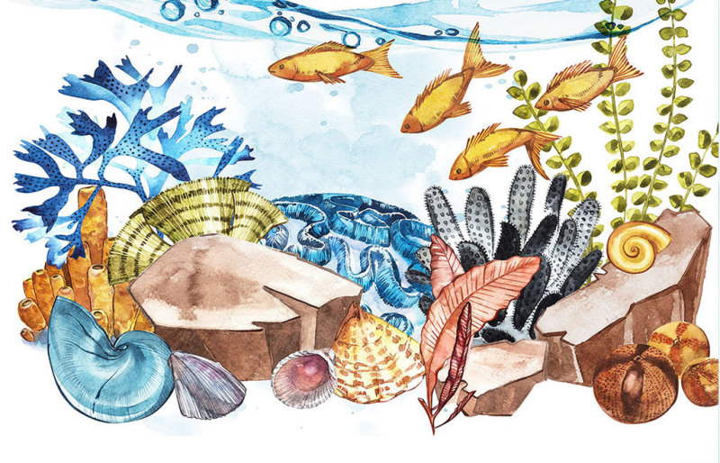 原创世界海洋日海洋生物保护海洋馆ppt模板-版权可商用 蓝色卡通世界